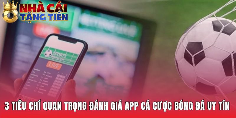 Ba yếu tố then chốt làm nên một top app cá cược bóng đá uy tín