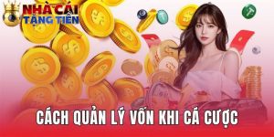 Cách quản lý vốn khi cá cược