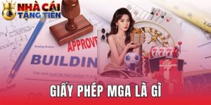 Giấy Phép MGA Là Gì