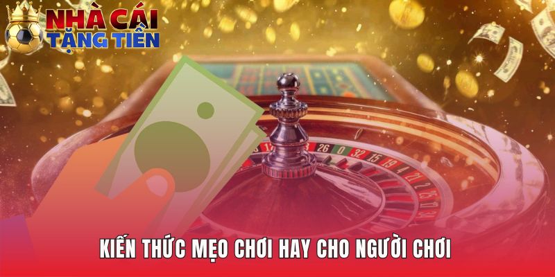 Kiến thức cá cược là nền tảng vững chắc cho mọi chiến thắng