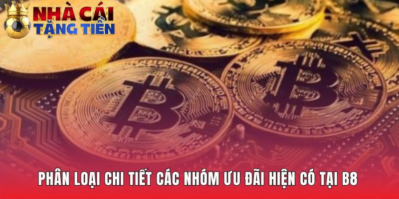 Phân loại ưu đãi B8 giúp tìm ra lựa chọn phù hợp nhất