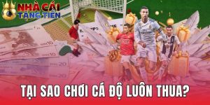 Tại Sao Chơi Cá Độ Luôn Thua