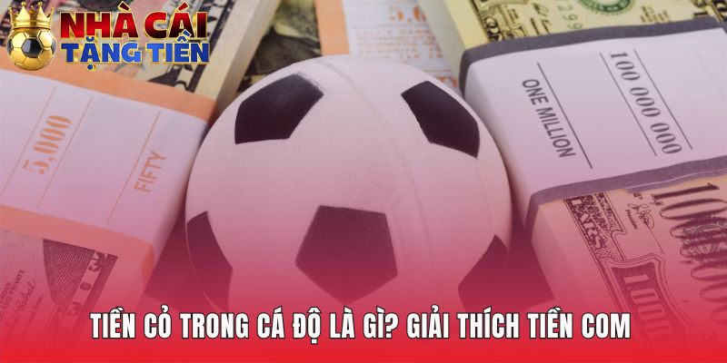 Tiền cỏ trong cá độ là gì hoàn trả dựa trên tổng vốn cược hợp lệ