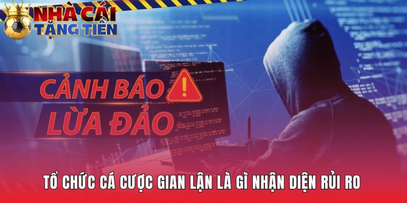 Tổ chức gian lận chuyên chiếm đoạt tài sản và thông tin cá nhân