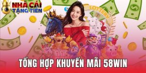 Tổng Hợp Khuyến Mãi 58WIN